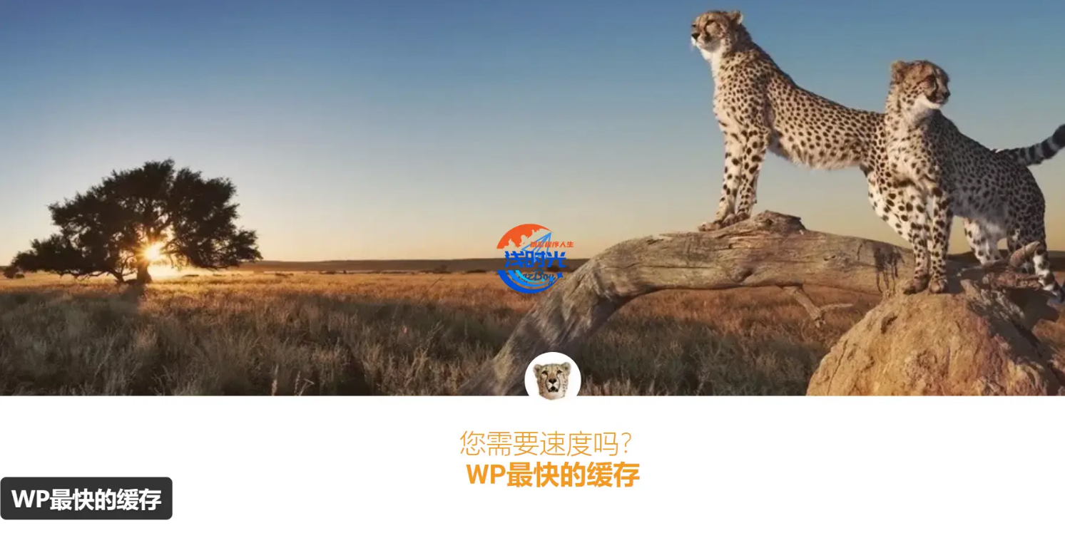 WP Fastest Cache Premium WordPress缓存插件-浅时光博客