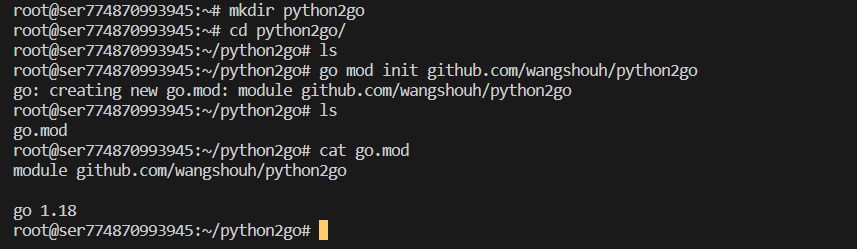 python2go-terminal.png